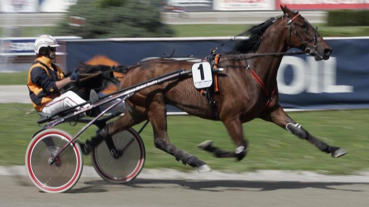 Toppsport med Elitloppskandidater
